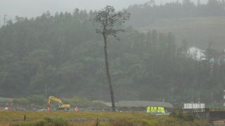 観光名所にレプリカを残すよりも、周囲を含めて松原の復元・拡大が教訓では