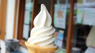 夏みかんソフトクリームをいただきました