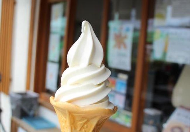 夏みかんソフトクリームをいただきました