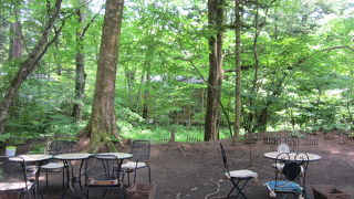 歩いて行ける森の中のカフェ