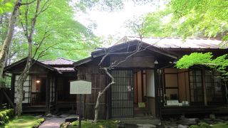 お庭の苔がきれいでした