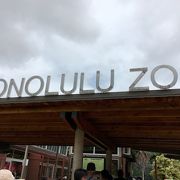 ワイキキから徒歩で動物園！