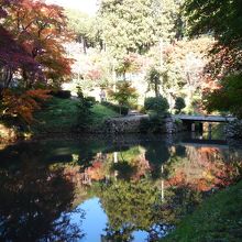 池に映る青空と紅葉