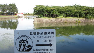 公園外周はウォーキングコースになっています