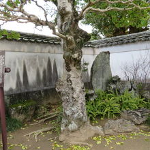 寂しい場所です