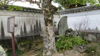 白壁に囲まれています