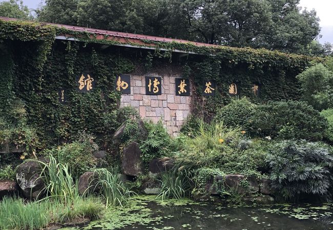 品茶話茶 中国茶葉博物館漫歩 中国茶葉博物館 クチコミ・アクセス・営業時間｜杭州【フォー