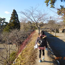 子供が遊ぶには・・・怖い
