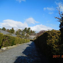 奥に松坂城が見えます