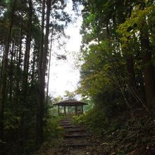 この展望台、何も見えません。