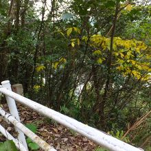 こんな感じの展望台。