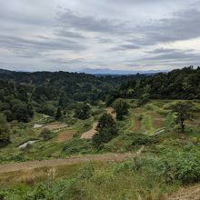 秋の棚田風景