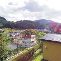 部屋から見える渓谷　野鳥が見えました