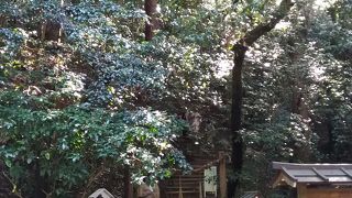 登拝は本当にきつい、でも休み休みなら◎