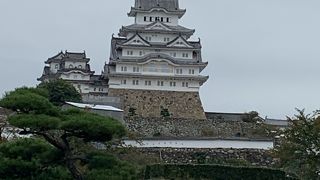 気品ただよう姿！