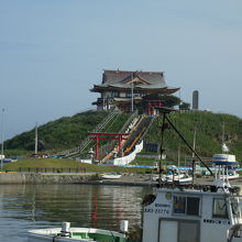 ウミネコはほどんどいませんでした