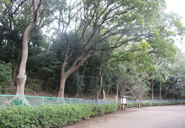 亀甲山古墳 クチコミ アクセス 営業時間 田園調布 フォートラベル 亀甲山古墳 クチコミ アクセス 営業時間 田園調布 フォートラベル