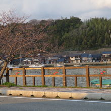 対岸の景色がいいです