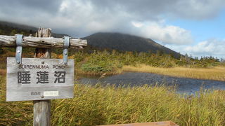 昔よりも湖面が狭くなった感があるが、湖面に映る北八甲田の峰々が美しい