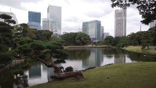 ほぼ終わりで残念