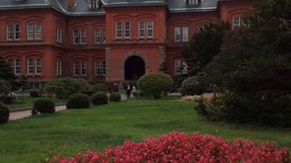 紅葉が始まりました