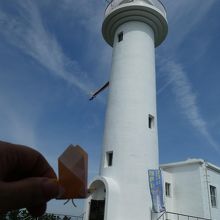 ボランティアスタッフさんの作ったウミネコと一緒に