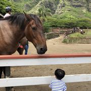 ドライブの休憩場所に最適