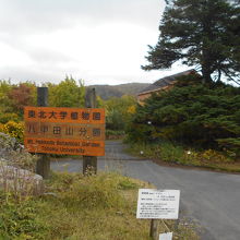 植物園入口。駐車場は100ｍ酸ヶ湯温泉寄りにある。