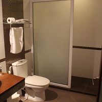 シャワー時に気をつけないとトイレの床が濡れるタイプ