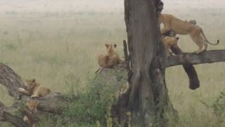 子供の頃からの憧れの地を満喫