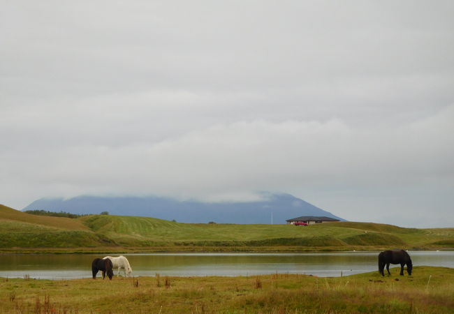 湖周辺に見所が多く、アイスランド北部観光の中心