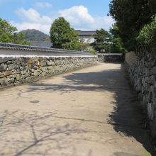 曲がり角が多いです