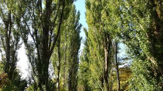 広～い大学。歩くのが気持ちいい♪