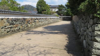 珍しい光景です