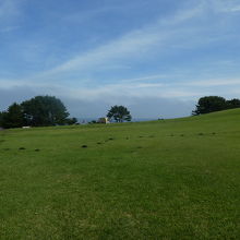 芝生が広がっています