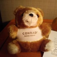 コンラッドベア。持ちかえりできます
