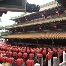 赤い提灯がキレイ