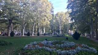 のんびりお散歩