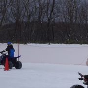 今年は雪が少なく