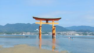 会場へせり出す朱の世界遺産！厳島神社