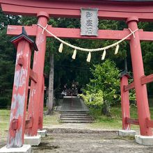 鳥居と階段奥の神社