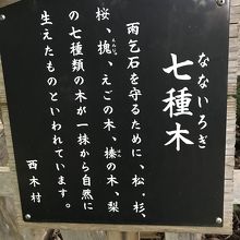 七種木の説明