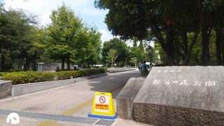 文教地区にある公園