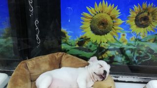 ショッピングモール