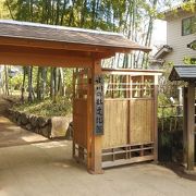 風情ある竹林の道