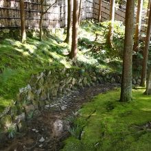 お庭がとても素敵です