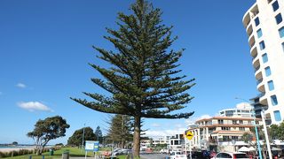 メイン ビーチ & パパモア ビーチ