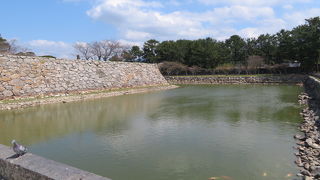 癒しの風景です