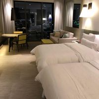 ツインですが広いです