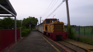 今回もまた運休、土日は運航しているようです。